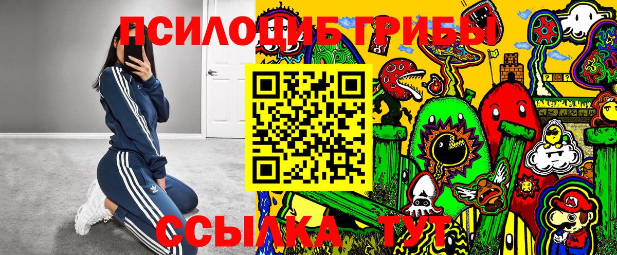 Галлюциногенные грибы Psilocybine cubensis Нижневартовск