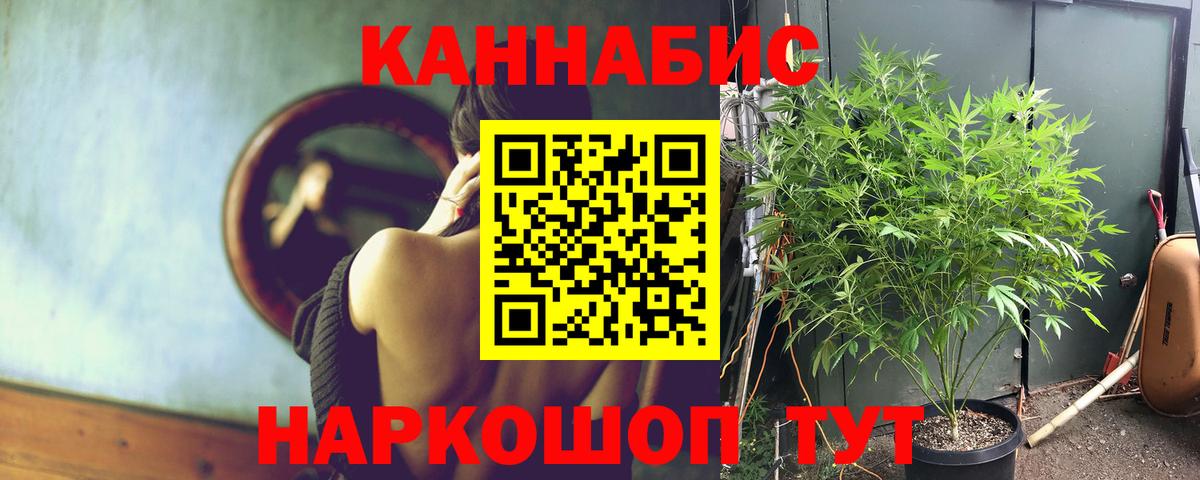 Бошки Шишки THC 21%  Бошки Шишки THC 21%  Вход с VPN  Нижневартовск  Марихуана план 